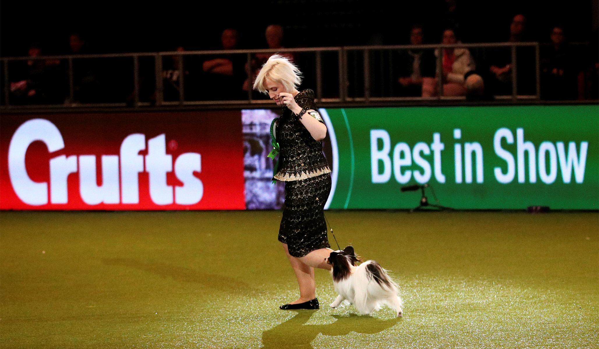 what day is terrier day at crufts 2019