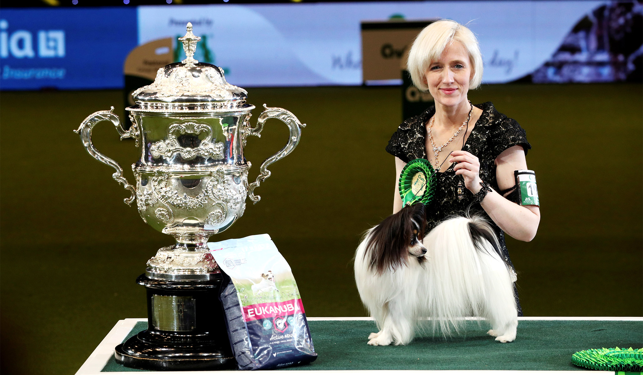 what day is terrier day at crufts 2019