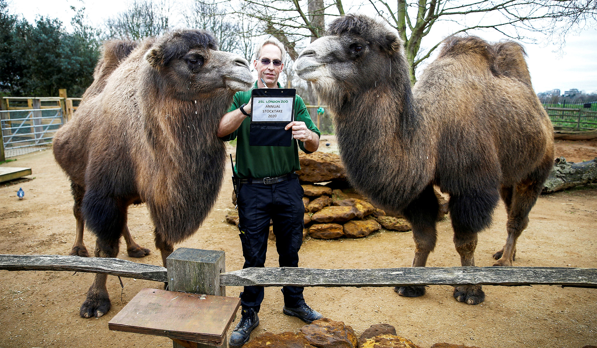 how many people visit london zoo a day