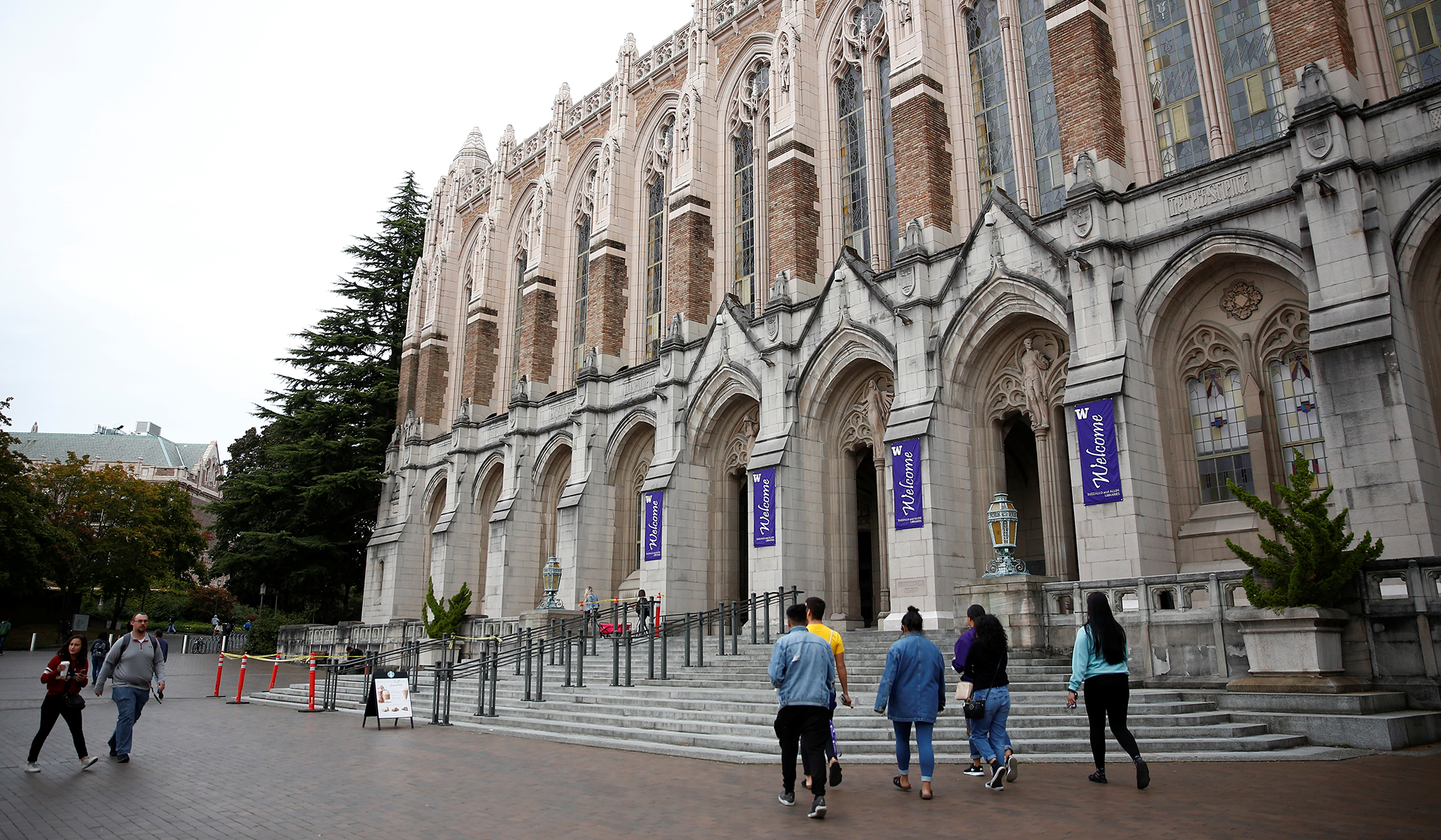 Stuart Reges: Professor Sues University of Washington after Being