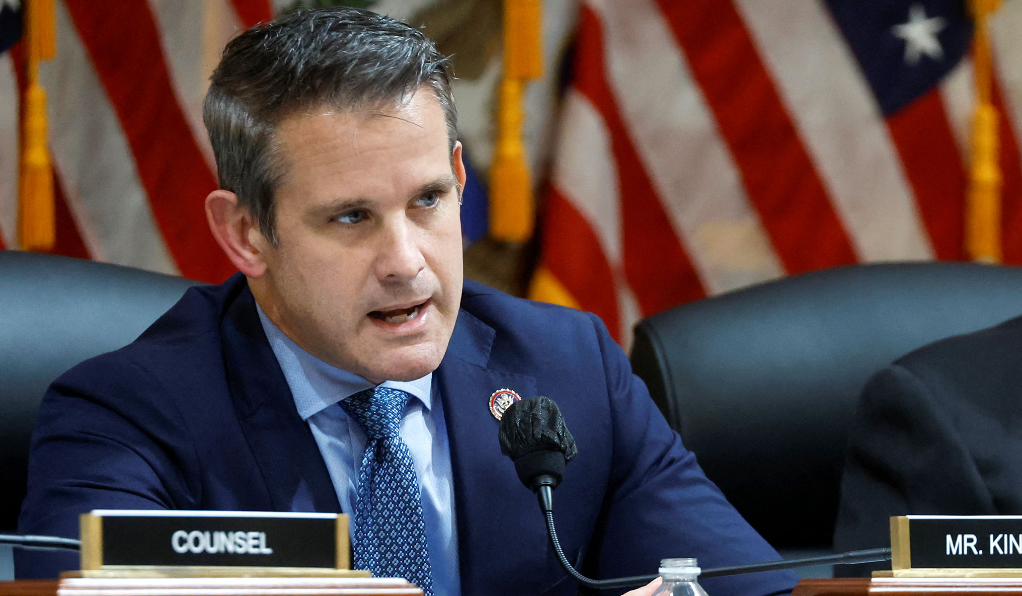 kinzinger committee assignments