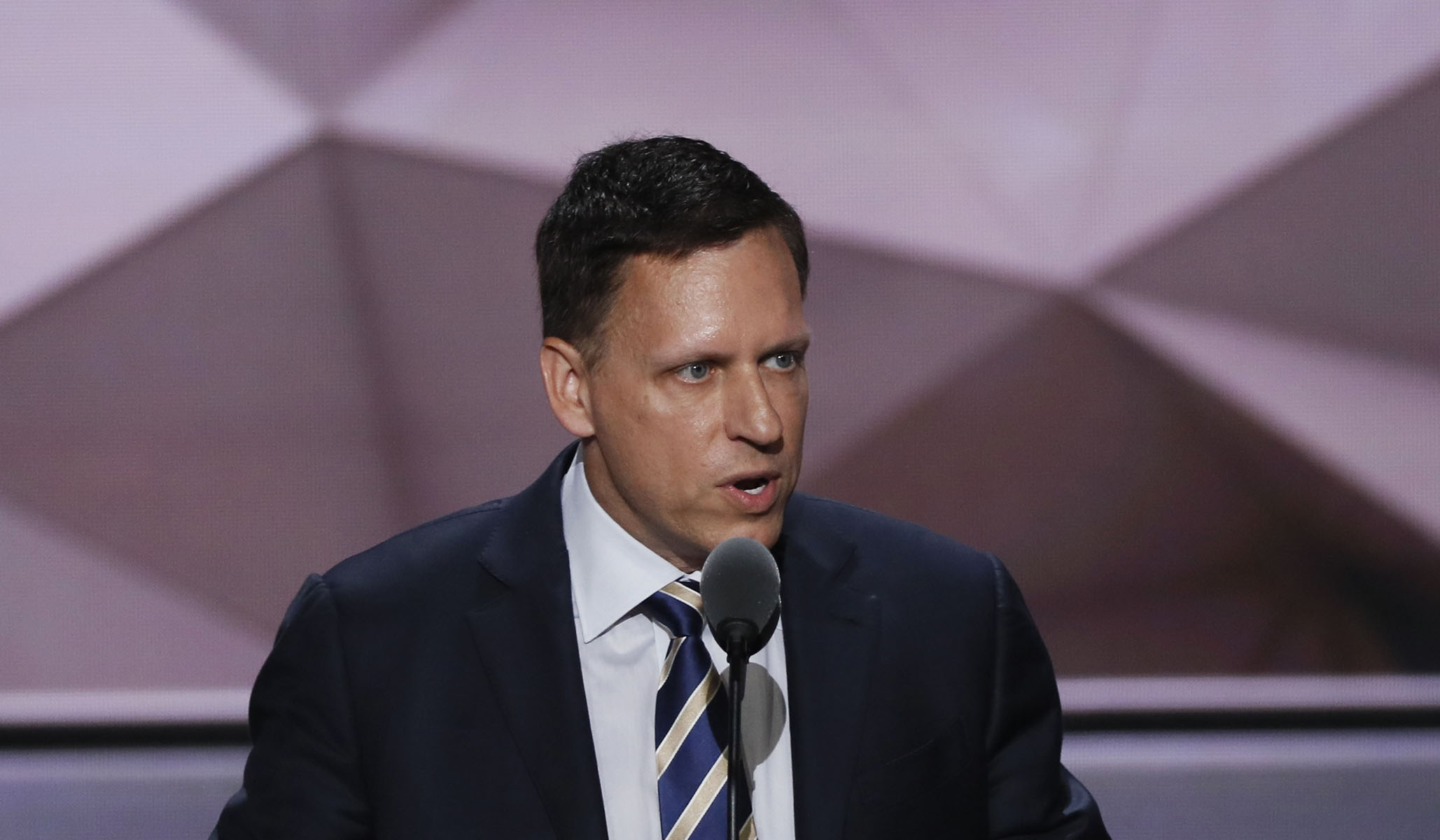 Republican Party & Thiel: Peter Thiel Urges GOP to Move Beyond ...