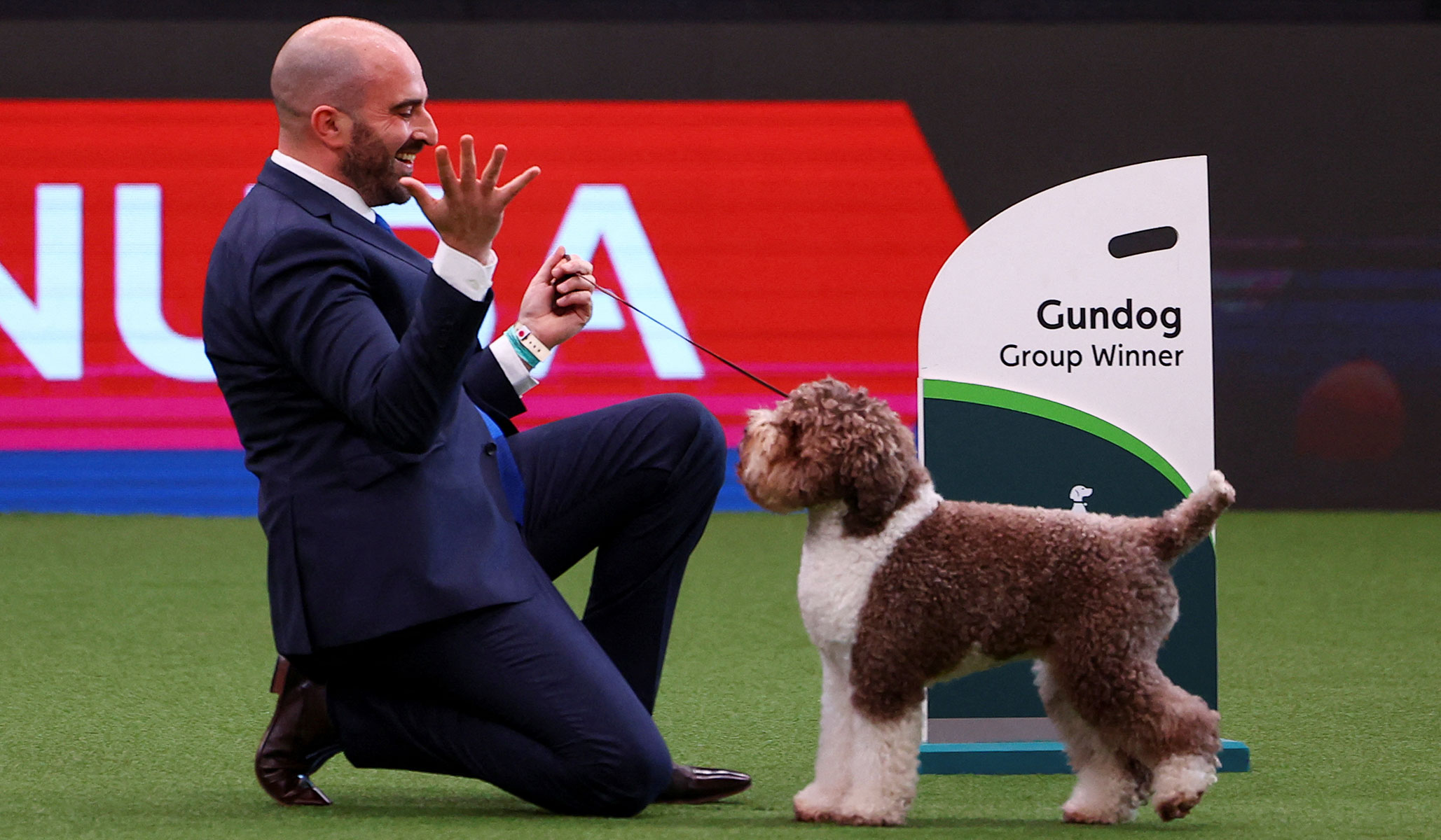 what day is hound day at crufts