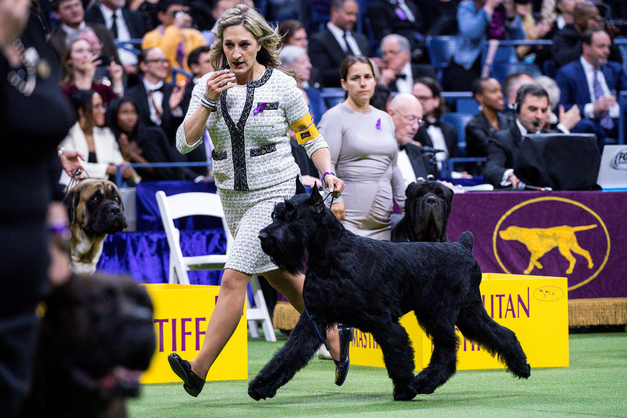 who won the dog show 2018